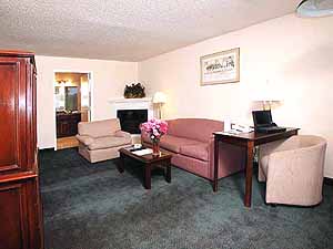 Our suites make business travel a pleasure