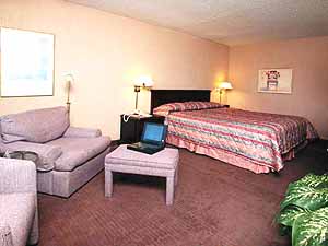 All rooms have high-speed internet access