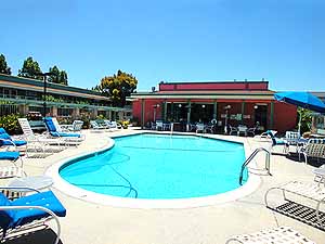Unwind in our pool 